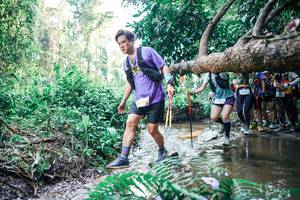 BIB: 
                            <button type="button" onclick="openModal(25465983)" class="btn btn-primary btn-sm float-right btn-popup" data-toggle="modal" data-target=".modal-high-quality">
                        <i class="fas fa-shopping-cart"></i> Add to Cart
                    </button>
                                            <button type="button" onclick="isThisMe(25465983, true)" class="btn btn-success btn-sm float-right btn-popup btn-isme hidden" data-toggle="tooltip" data-placement="bottom" title="นี่คือรูปของคุณใช่ไหม คลิกที่นี่เพื่อเอาเข้าอัลบั้ม">
                        <i class="fas fa-plus"></i> Add to album
                    </button>
                    <button type="button" onclick="isThisMe(25465983, false)" class="btn btn-warning btn-sm float-right btn-popup btn-isnotme hidden">
                        <i class="fas fa-ban"></i> Remove from album
                    </button>